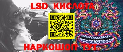 прущие крисы Кингисепп