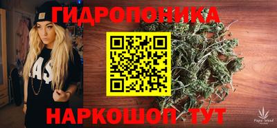 прущие крисы Кингисепп