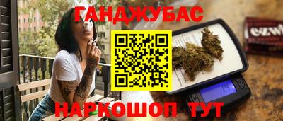 прущие крисы Кингисепп