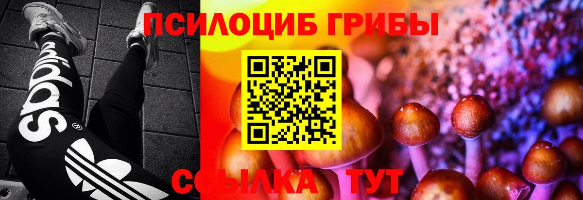 Псилоцибиновые грибы мухоморы  Галлюциногенные грибы Psilocybe  Вход с VPN  Ульяновск 